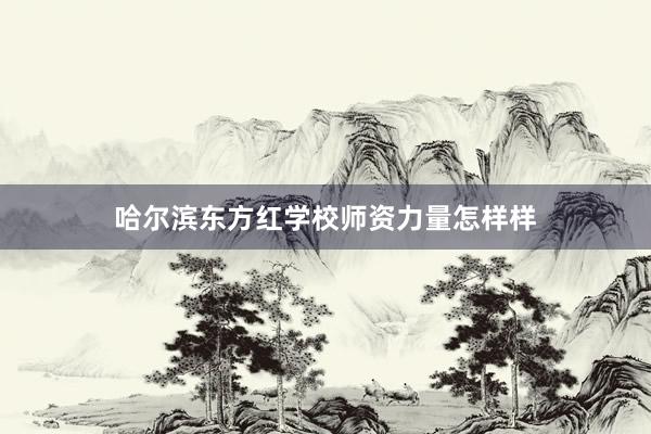 哈尔滨东方红学校师资力量怎样样